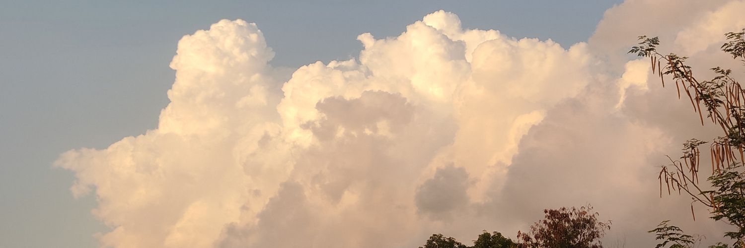 shalauson's profile banner image