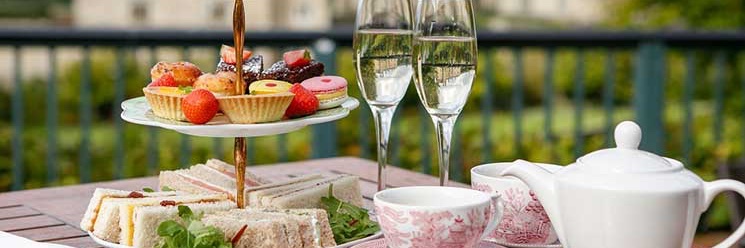 🌿🍇 Ms Print 🍇🌿 banner