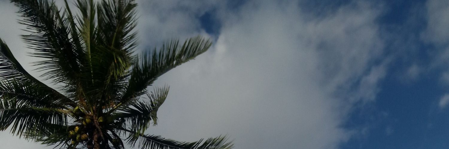 vinc_rio's profile banner image