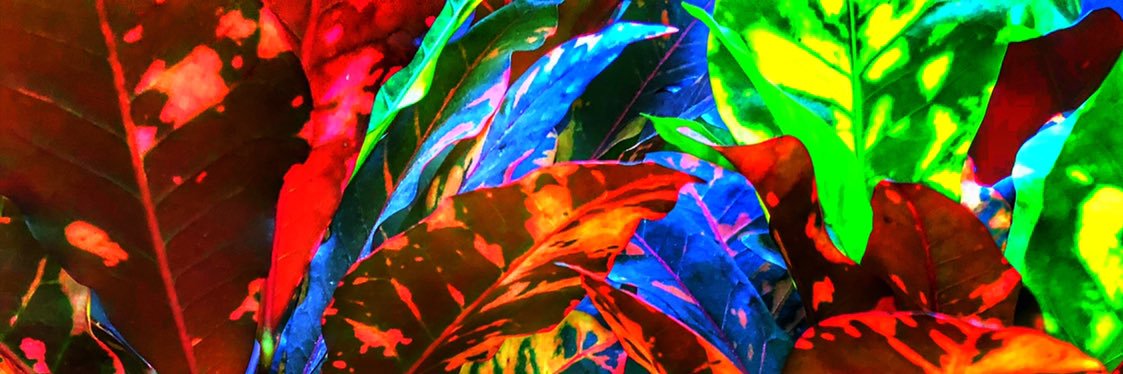 cyberbpb's profile banner image