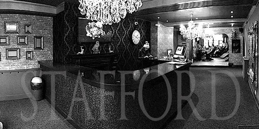 Vivid Ink Stafford banner