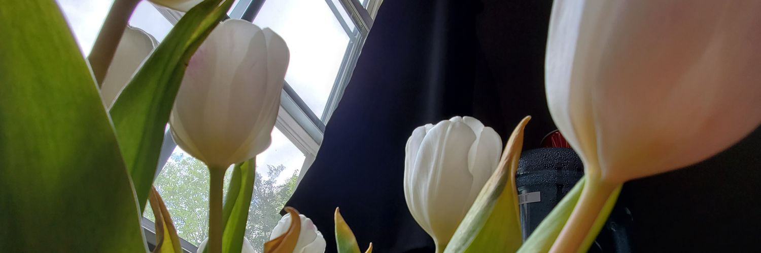 Kalyxia's profile banner image