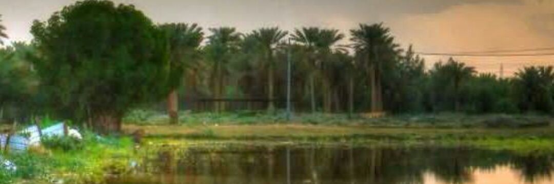 sanafisa's profile banner image