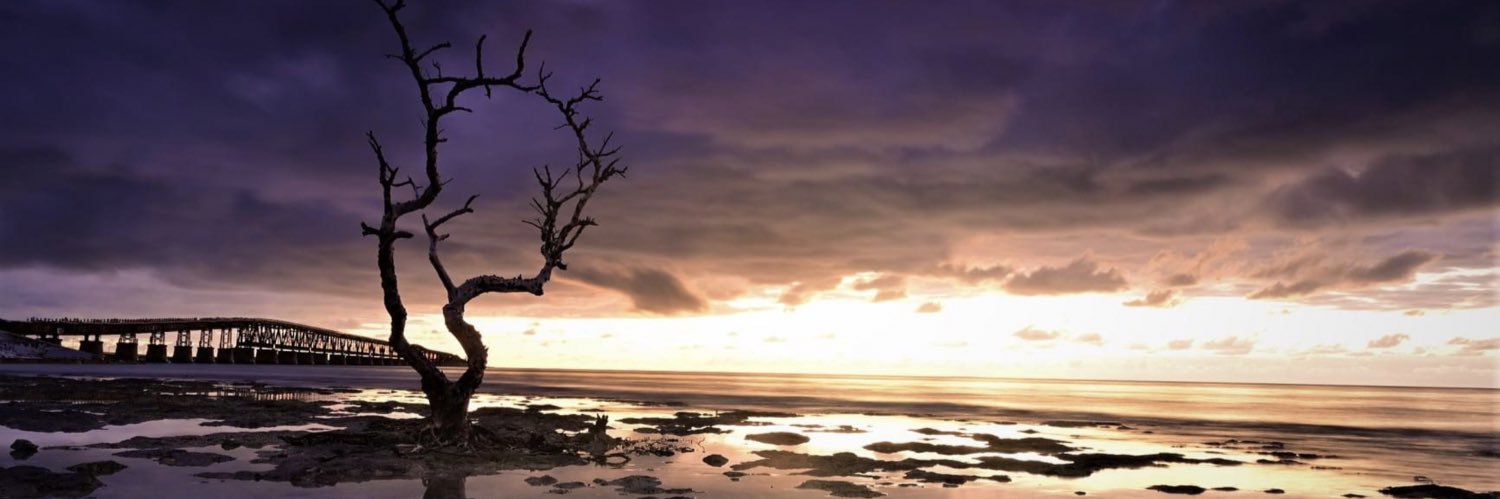 macman5574's profile banner image