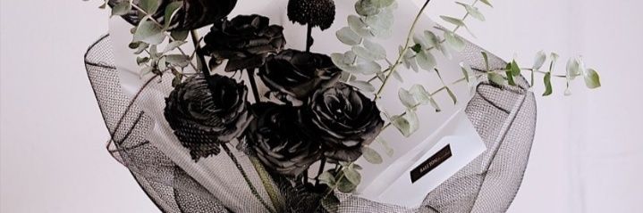 annsrach's profile banner image