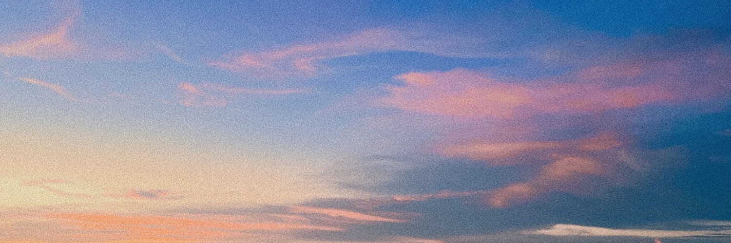 nrlsna's profile banner image