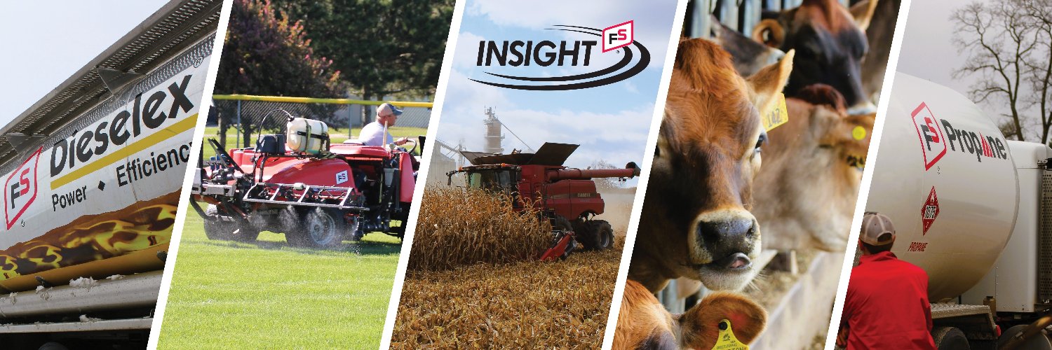 Insight FS banner