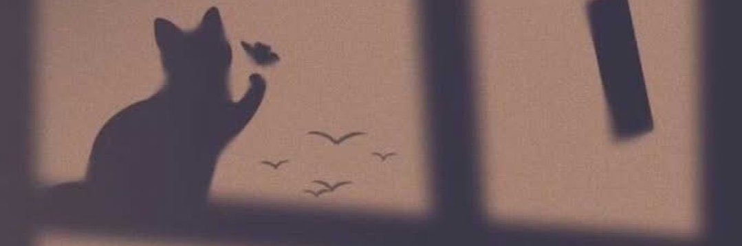 أماني🕊🤍 banner