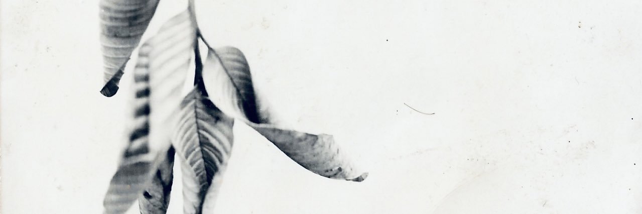 hal_desmond's profile banner image