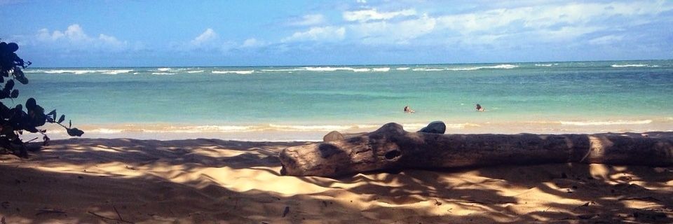 marigeof's profile banner image