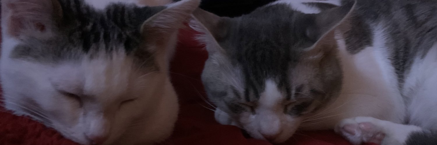 ApaulGamol's profile banner image