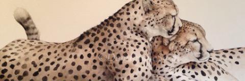 DominiqueSalm's profile banner image