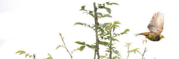 passingplace Profile Banner