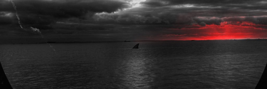 Finbo_PT's profile banner image
