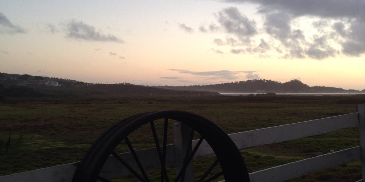 Jessica Harless banner