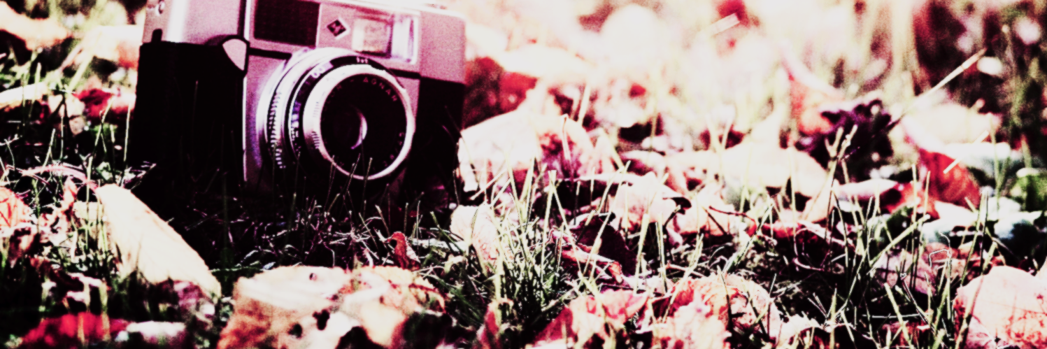 La_Asecina's profile banner image