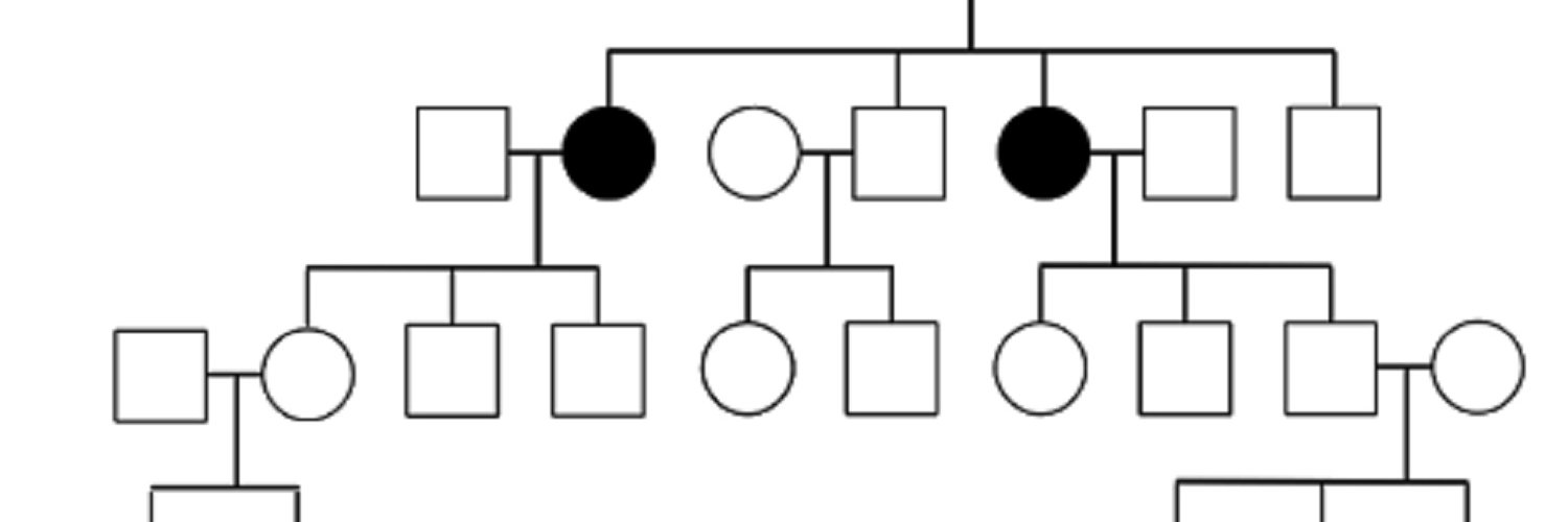 Dr. Lori MacNeil banner