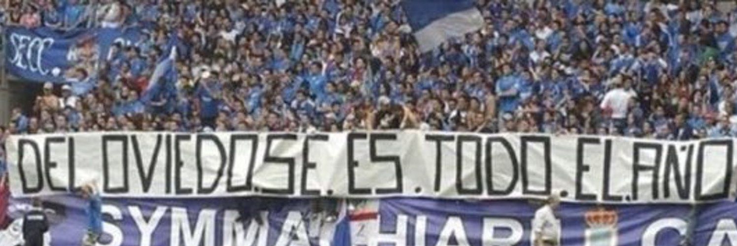 Zorro Azul 🦊 Pachuca Go Home banner
