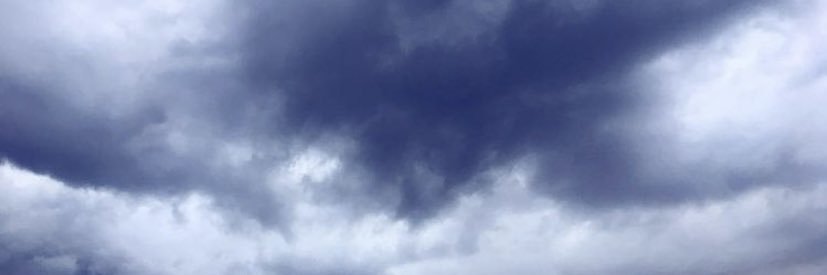 Dea Salazar banner