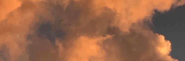 robelleeee's profile banner image