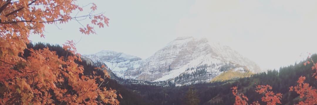 JessicaSchow's profile banner image