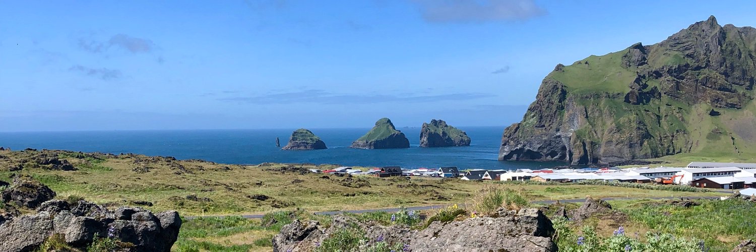 Rebecca Fernandez banner