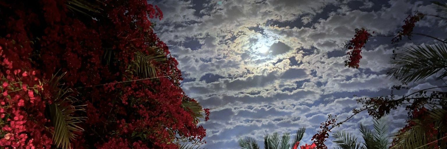 omarhamdy30's profile banner image