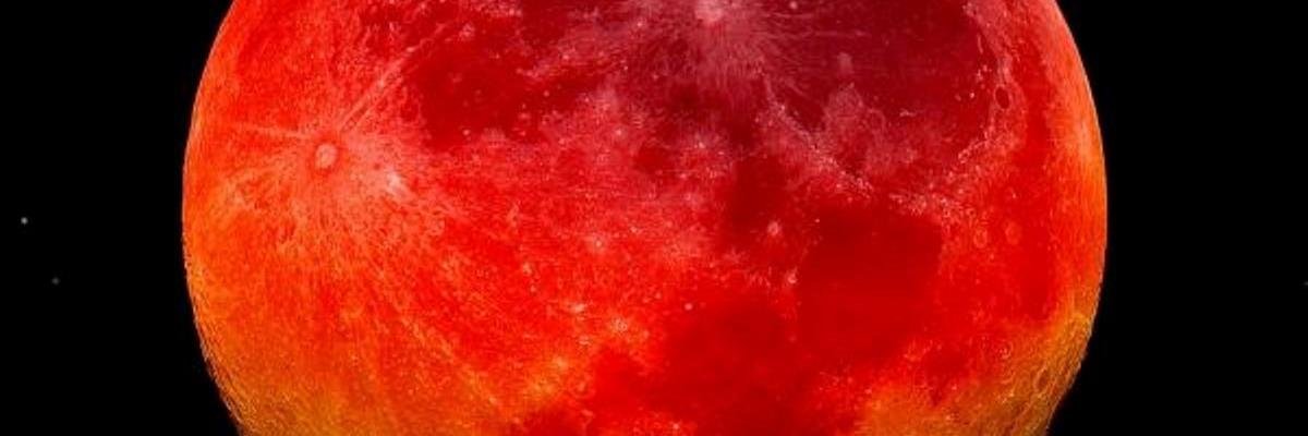 gespott6's profile banner image