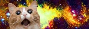 r2_alp's profile banner image