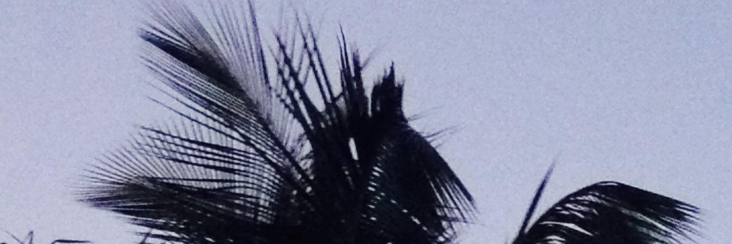 djss2570's profile banner image