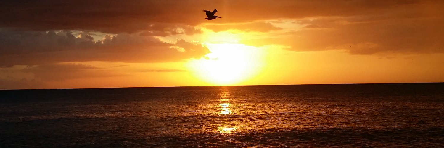 DougParris's profile banner image