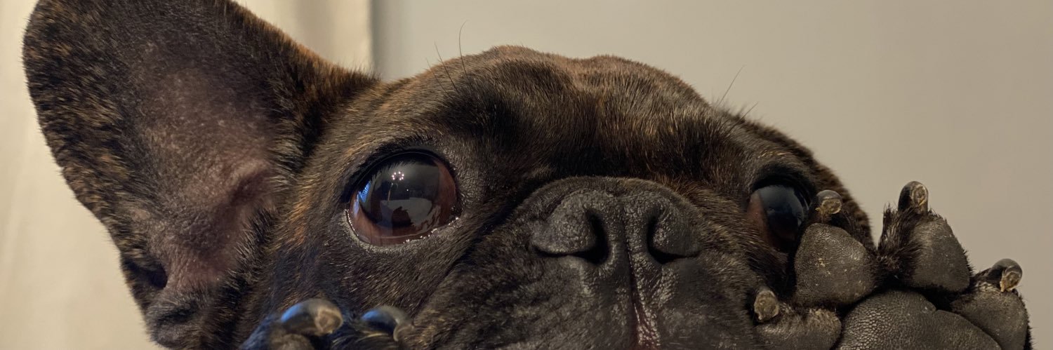 jbpoley's profile banner image