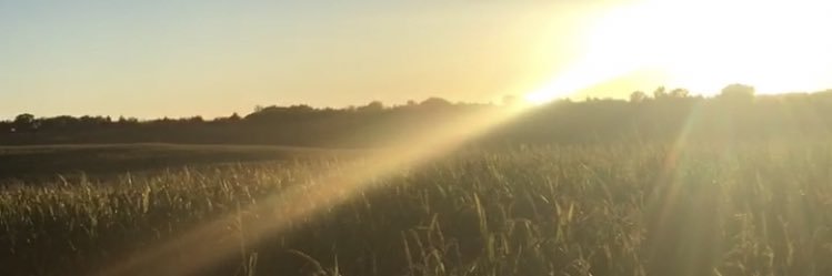 Maison Burnley banner