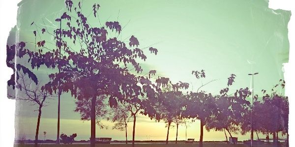 ulas_ma_'s profile banner image