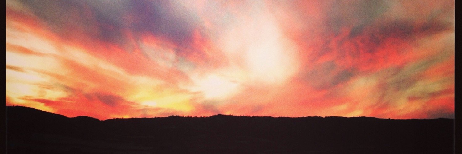 Emilio Alfaro banner