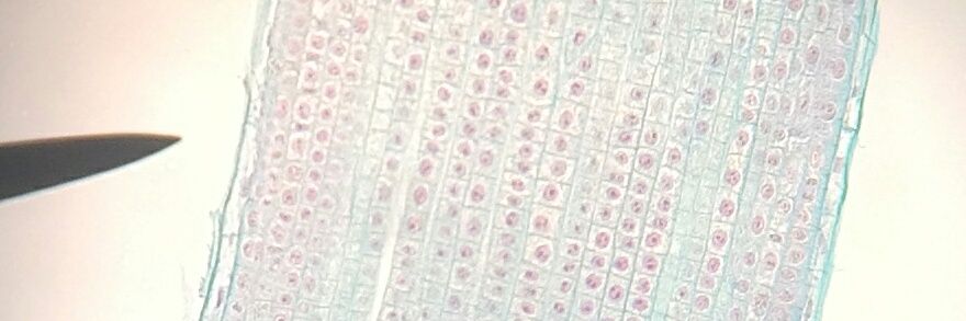 Asher 🚩⚛🔬 banner