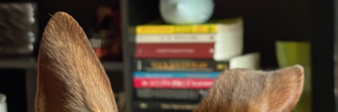 0paldagger's profile banner image