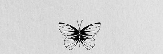 sabrianabeli's profile banner image