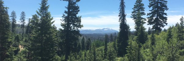 JenniferShutt Profile Banner