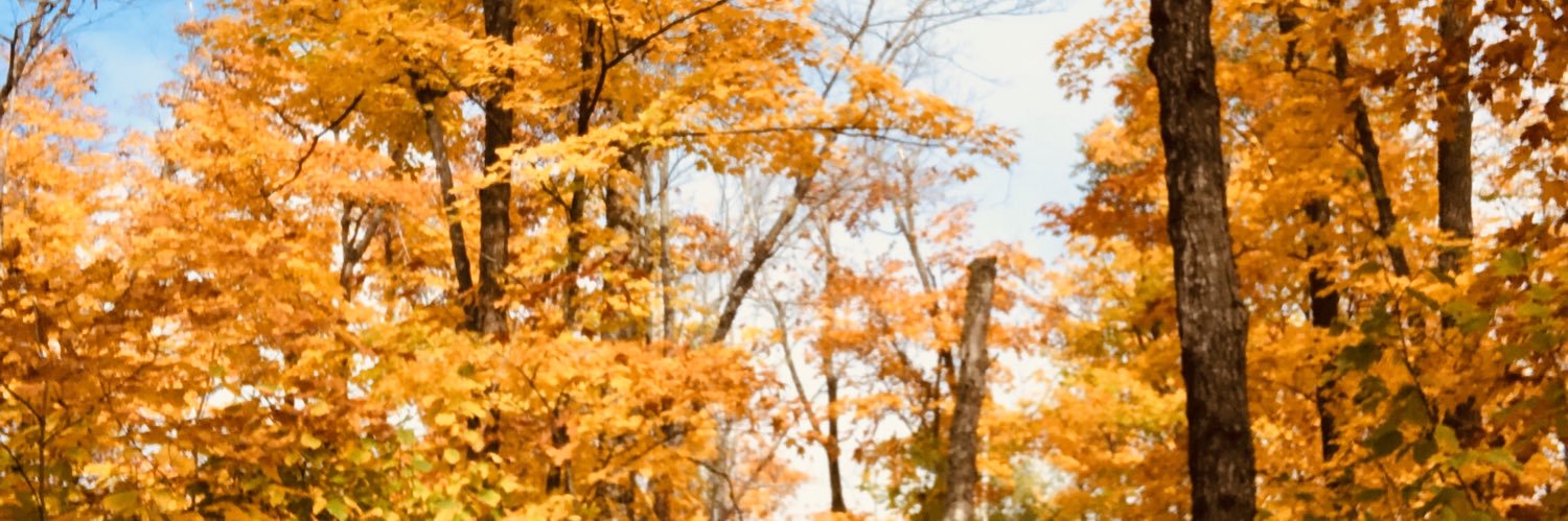 Tinger_3's profile banner image