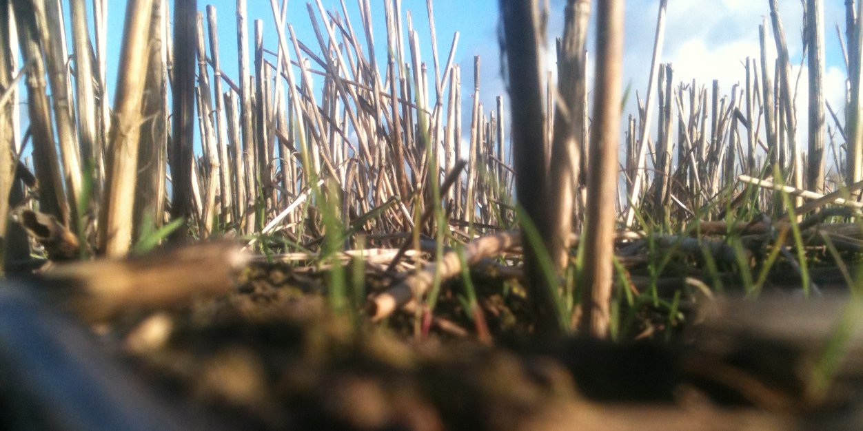 ed_fauld's profile banner image