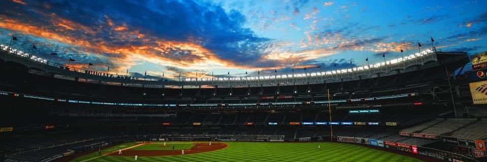 TonyTheTiger ✭ banner