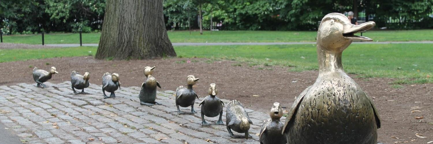 Charlotte Fixler banner