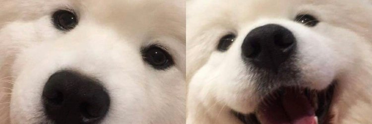 SallyA_Cinnamon's profile banner image
