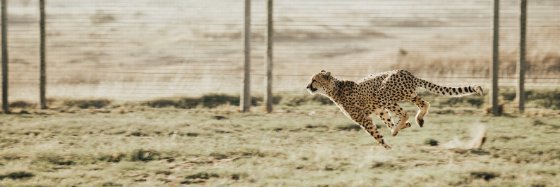 Justine Gaignard-P banner