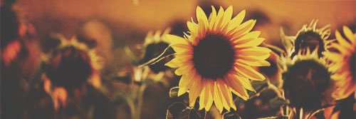 Becky Leathersich (she/her) banner