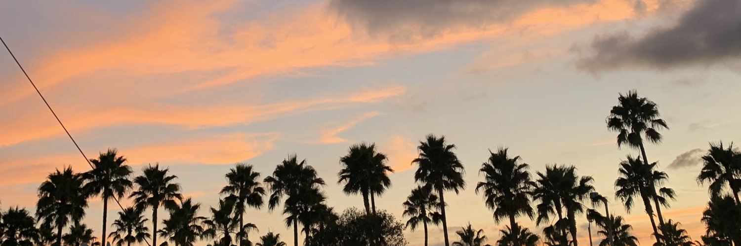 freeholyy's profile banner image