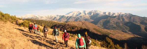 ceolot Profile Banner