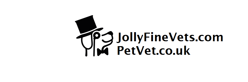 PetVet_Highgate's profile banner image