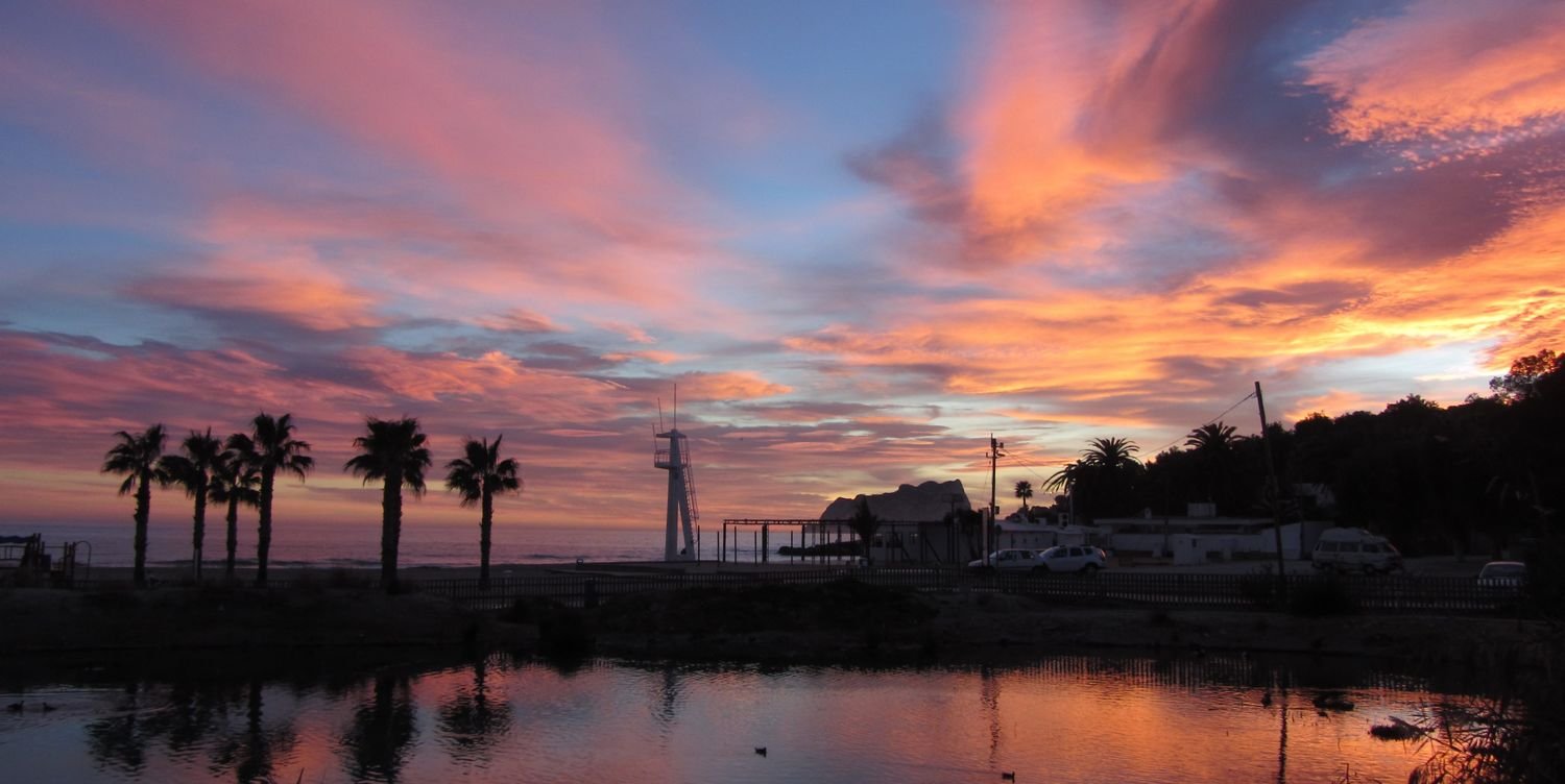 Lara Broadhurst banner